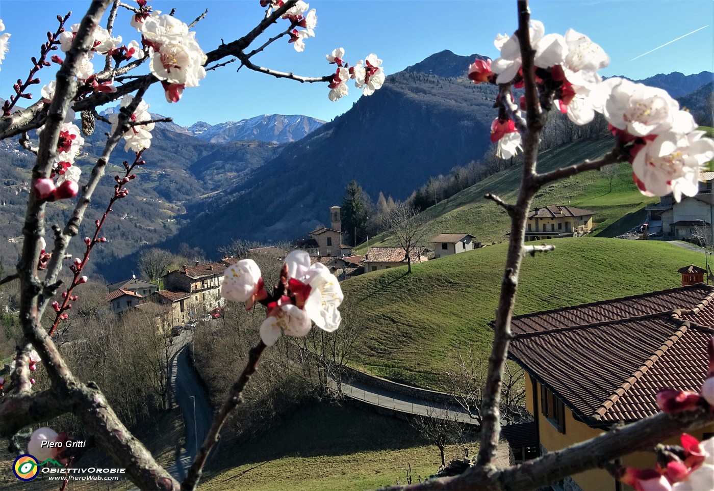 18 Fiori di melo con vista su Alino.JPG -                                